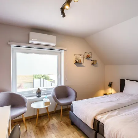 فندق مبيت وإفطار Cecha &wellness 4*