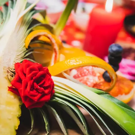 Cecha &wellness 4* Ostende