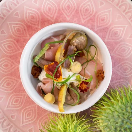 Cecha &wellness 4* Ostende