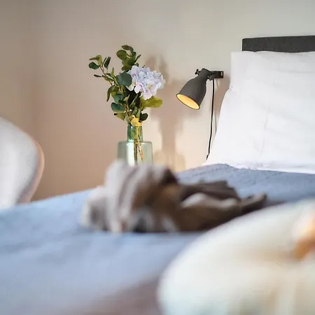 Cecha &wellness Bed & Breakfast