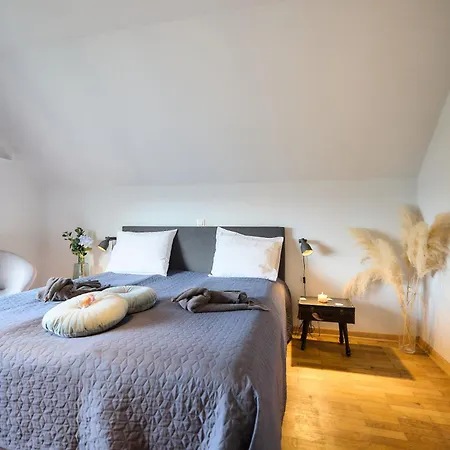 Bed and Breakfast Cecha &wellness Οστένδη