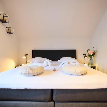 Cecha &wellness Ostende