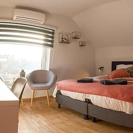 Cecha &wellness 4*