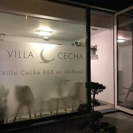 Cecha &wellness 4* Oostende