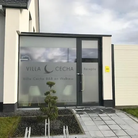 Cecha &wellness 4*