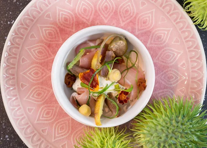 Cecha &wellness 4* Ostende