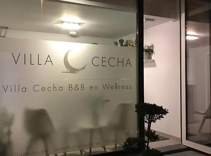 Cecha &wellness 4* Oostende