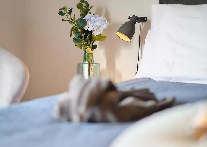 Cecha &wellness Отель типа 